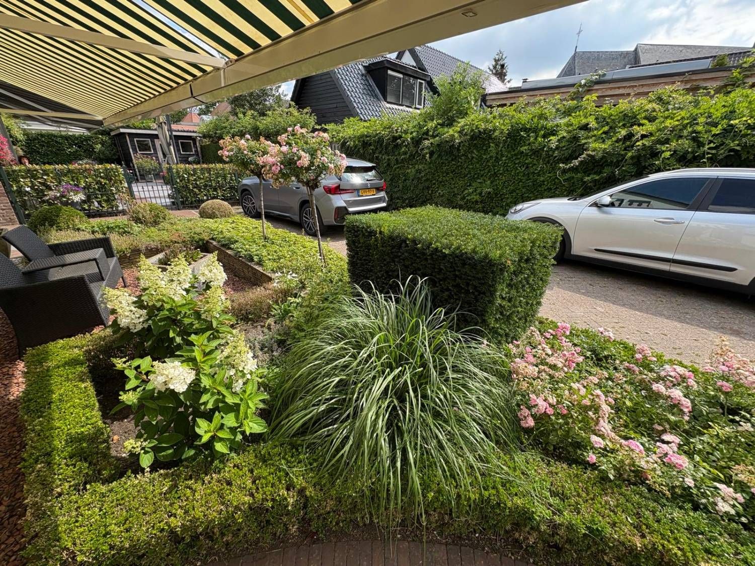 Voortuin met strak gesnoeide haag